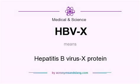 hbv|what does hbv stand for.